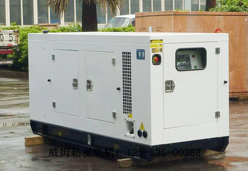 师宗简述发电机组的未来发展趋势